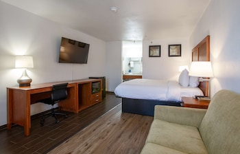 Standard Room, 1 King Bed, Non Smoking (with Sofabed)