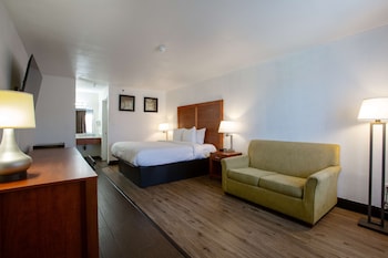 Standard Room, 1 King Bed, Non Smoking (with Sofabed)