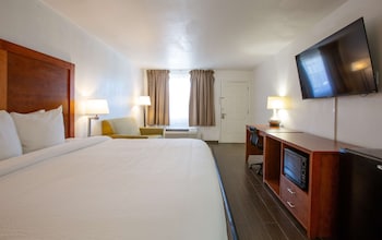 Standard Room, 1 King Bed, Non Smoking (with Sofabed)