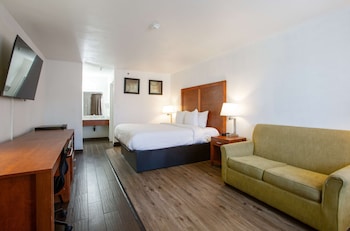 Standard Room, 1 King Bed, Non Smoking (with Sofabed)