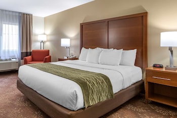 Room, 1 King Bed, Accessible, Non Smoking