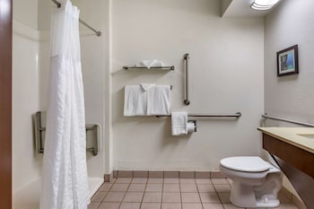 Room, 1 King Bed, Accessible, Non Smoking