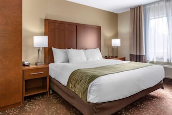 Room, 1 King Bed with Sofa bed, Accessible, Non Smoking