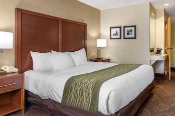 Room, 1 King Bed, Accessible, Non Smoking