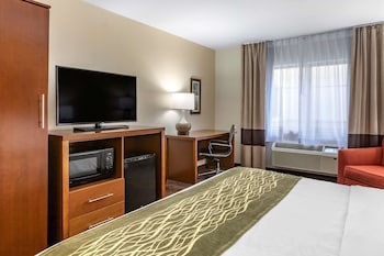 Standard Room, 1 King Bed, Non Smoking