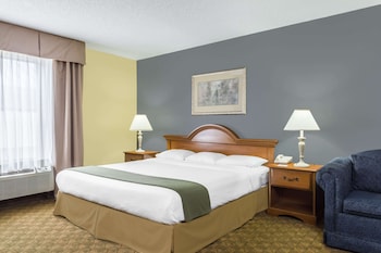 Room, 1 King Bed, Smoking