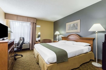 Room, 1 King Bed, Smoking