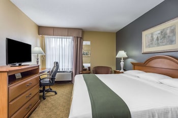 Room, 1 King Bed, Smoking