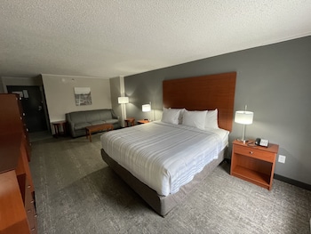 Standard Room, 1 King Bed with Sofa bed, Non Smoking, Refrigerator & Microwave (with Sofabed)