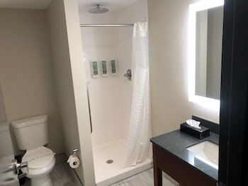 Standard Room, 1 King Bed with Sofa bed, Non Smoking, Refrigerator & Microwave (with Sofabed)