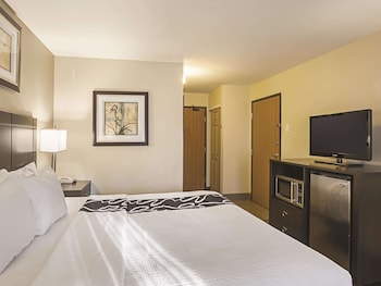 Room, 1 King Bed