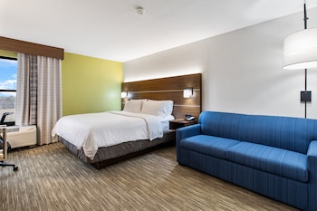 Standard Room, 1 King Bed with Sofa bed