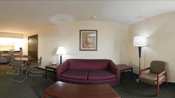 Suite, 1 King Bed with Sofa bed