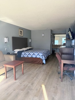 Room, 1 King Bed