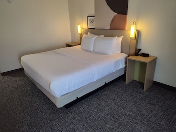 Room, 1 King Bed with Sofa bed