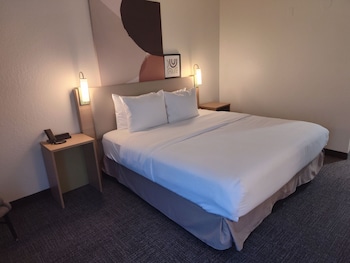 Room, 1 King Bed with Sofa bed