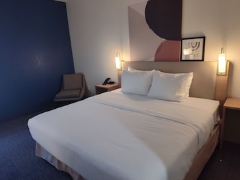 Room, 1 King Bed with Sofa bed