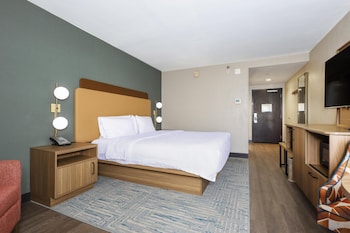 Room, 1 Double Bed, Non Smoking