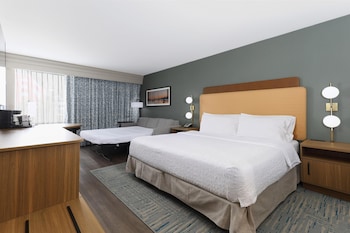 Room, 1 King Bed, Non Smoking (Study, Sofabed)
