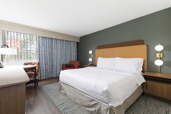Room, 1 King Bed, Accessible, Non Smoking