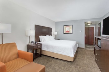 Room, 1 King Bed, Non Smoking