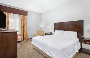 Room, 1 King Bed, Accessible, Non Smoking