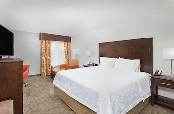Room, 1 King Bed, Non Smoking