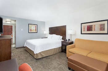 Room, 1 King Bed, Refrigerator & Microwave (Shower)