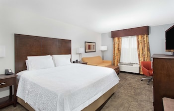 Room, 1 King Bed, Refrigerator & Microwave (Shower)
