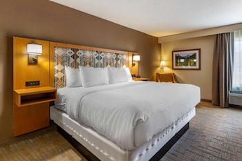 Standard Room, 1 King Bed, Non Smoking