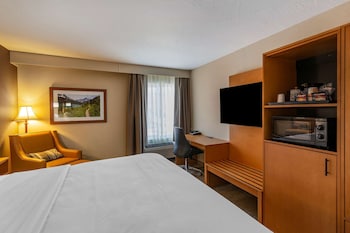 Standard Room, 1 King Bed, Non Smoking
