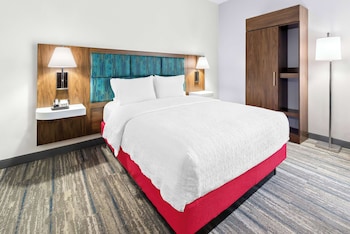 Room, Accessible, Non Smoking (Roll-In Shower)