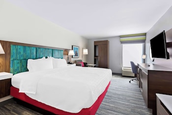 Room, 1 King Bed, Non Smoking