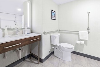 Room, Accessible, Non Smoking (Roll-In Shower)