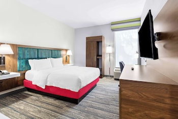 Room, Accessible, Non Smoking (Roll-In Shower)