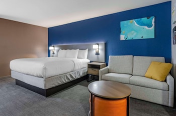 Standard Room, 1 King Bed, Non Smoking