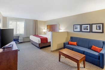 Suite, 1 King Bed with Sofa bed, Non Smoking