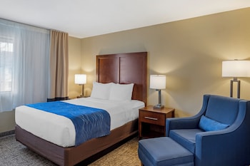 Room, 1 Queen Bed, Non Smoking