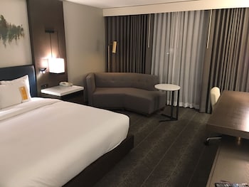 Room, 1 King Bed, Accessible, Bathtub