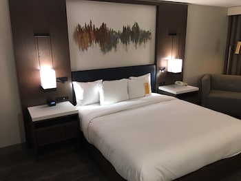 Room, 1 King Bed, Accessible, Bathtub