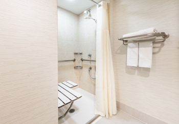 Room, 1 King Bed, Accessible (Roll-In Shower)