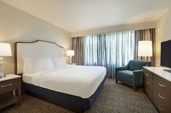 Suite, 1 King Bed