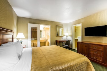 Standard Room, 1 King Bed, Accessible