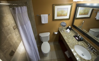 Room, 1 Queen Bed, Accessible, Non Smoking (Mobility,roll-in shower)