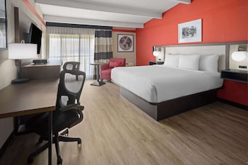 Room, 1 King Bed, Non Smoking