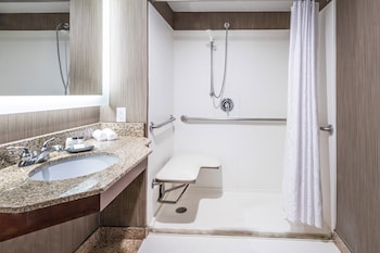 Traditional Room, 1 King Bed, City View (Mobility/Hearing Access, Roll-in Shwr)