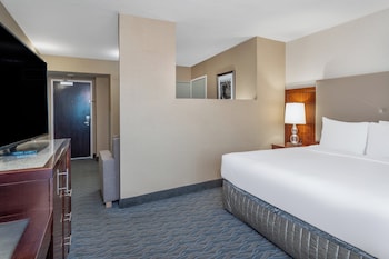 Junior Suite, 1 King Bed, Roll-in Shower (Mobility Accessible)