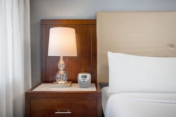 Standard Room, 1 King Bed, Accessible Bathtub
