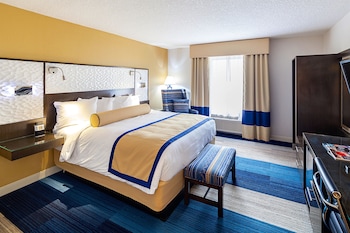 Room, 1 King Bed, Pool View
