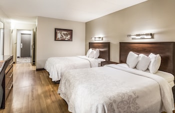 Premium Room, 2 Double Beds (Upgraded Bedding & Snack, Smoke Free)